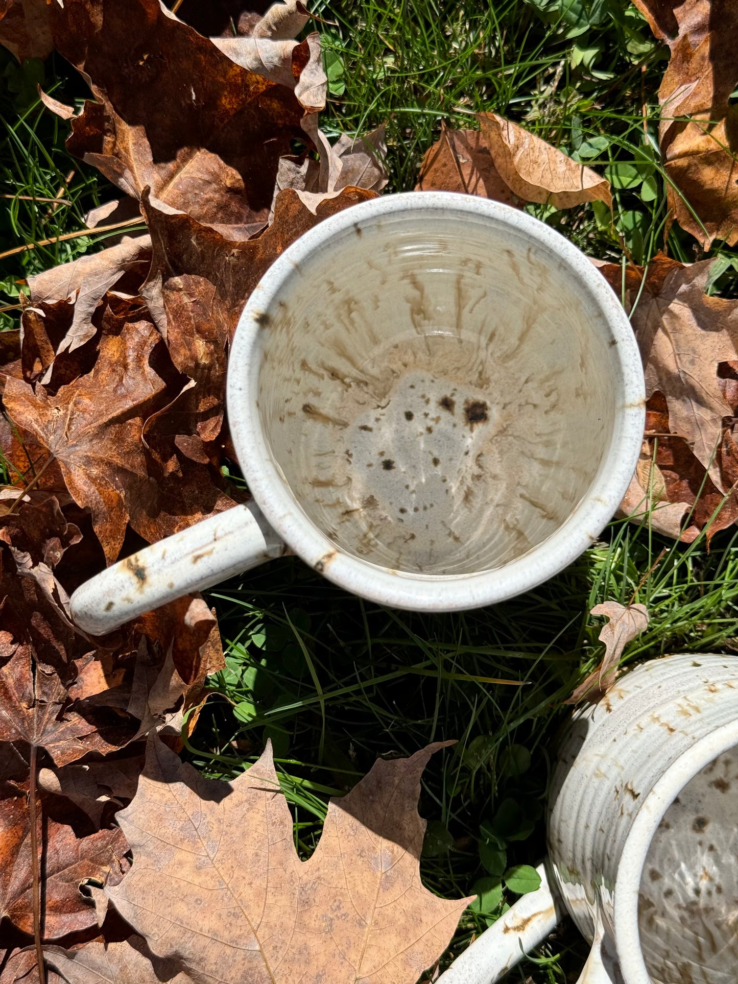 River Birch Mug